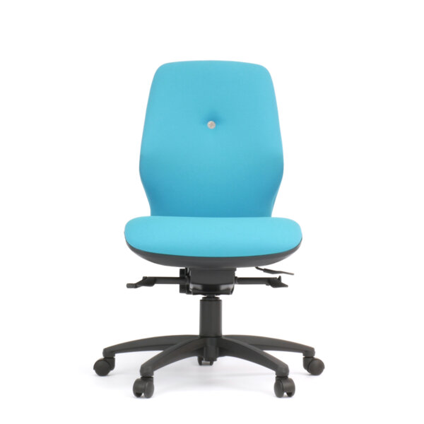 Sitesse Series 200 orthopaedic posture office chair