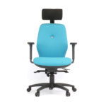 Sitesse Series 200 orthopaedic posture office chair