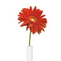 Flower pot in Metalicon Kardo monitor arm pole