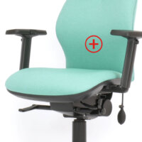 Sitesse lumbar support