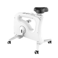 Standing Desk Exercise Bike