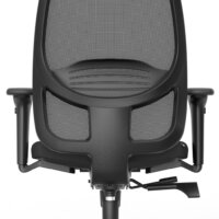 Formetiq Verona mesh back task chair with adjustable lumbar support